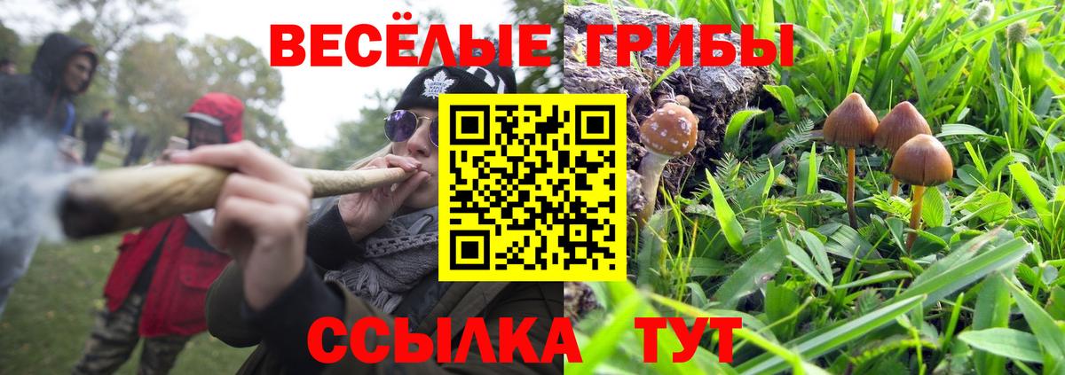 Галлюциногенные грибы мухоморы  Вход с VPN  Лениногорск 