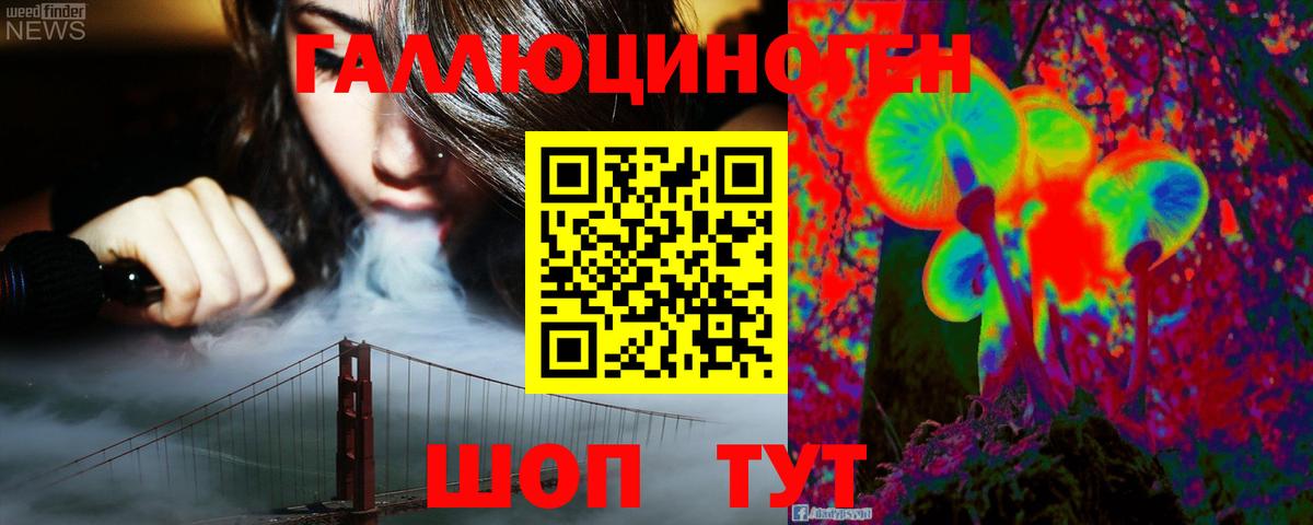 Галлюциногенные грибы Psilocybe Лениногорск